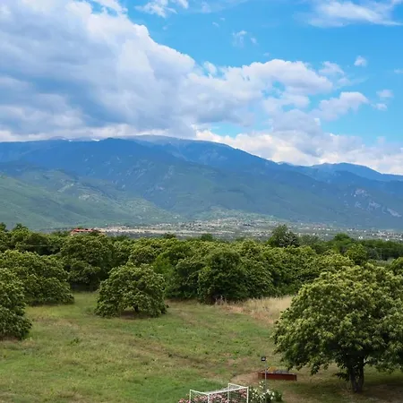 Geromichalos Hotel apartamentowy 3*