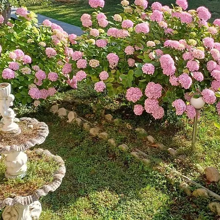 Geromichalos Hotel apartamentowy 3*