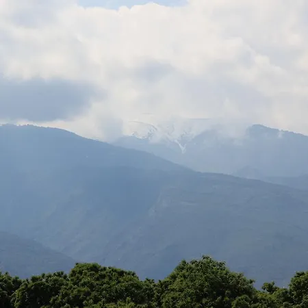 Geromichalos Paralía Skotínis