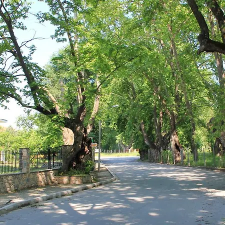 Geromichalos Paralía Skotínis