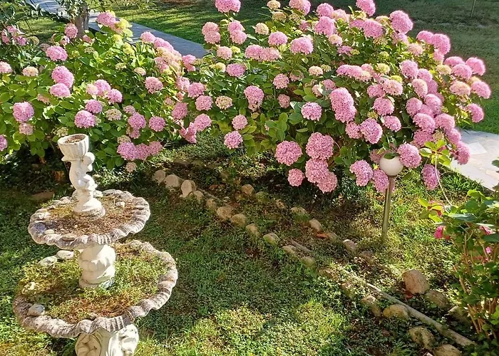 Geromichalos Ξενοδοχείο με διαμερίσματα 3*