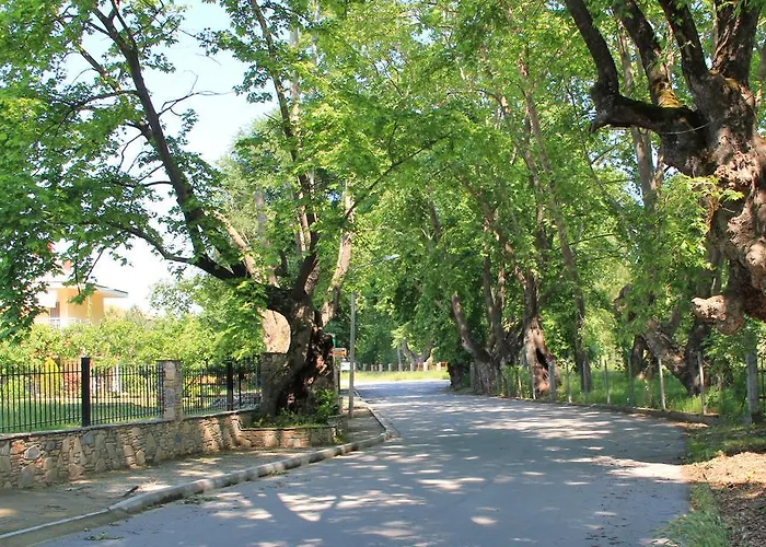 Geromichalos Paralía Skotínis