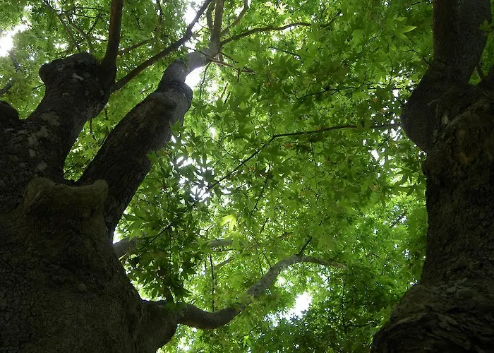 Geromichalos Ξενοδοχείο με διαμερίσματα 3*
